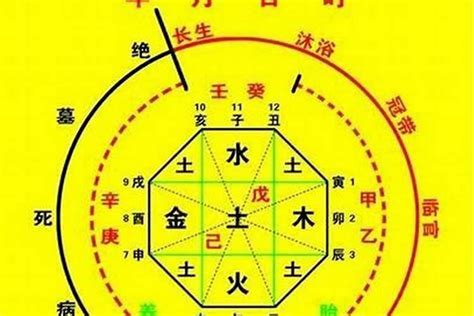 喜神是水|八字喜水人的建议 (喜用神为水的人戴什么最旺)